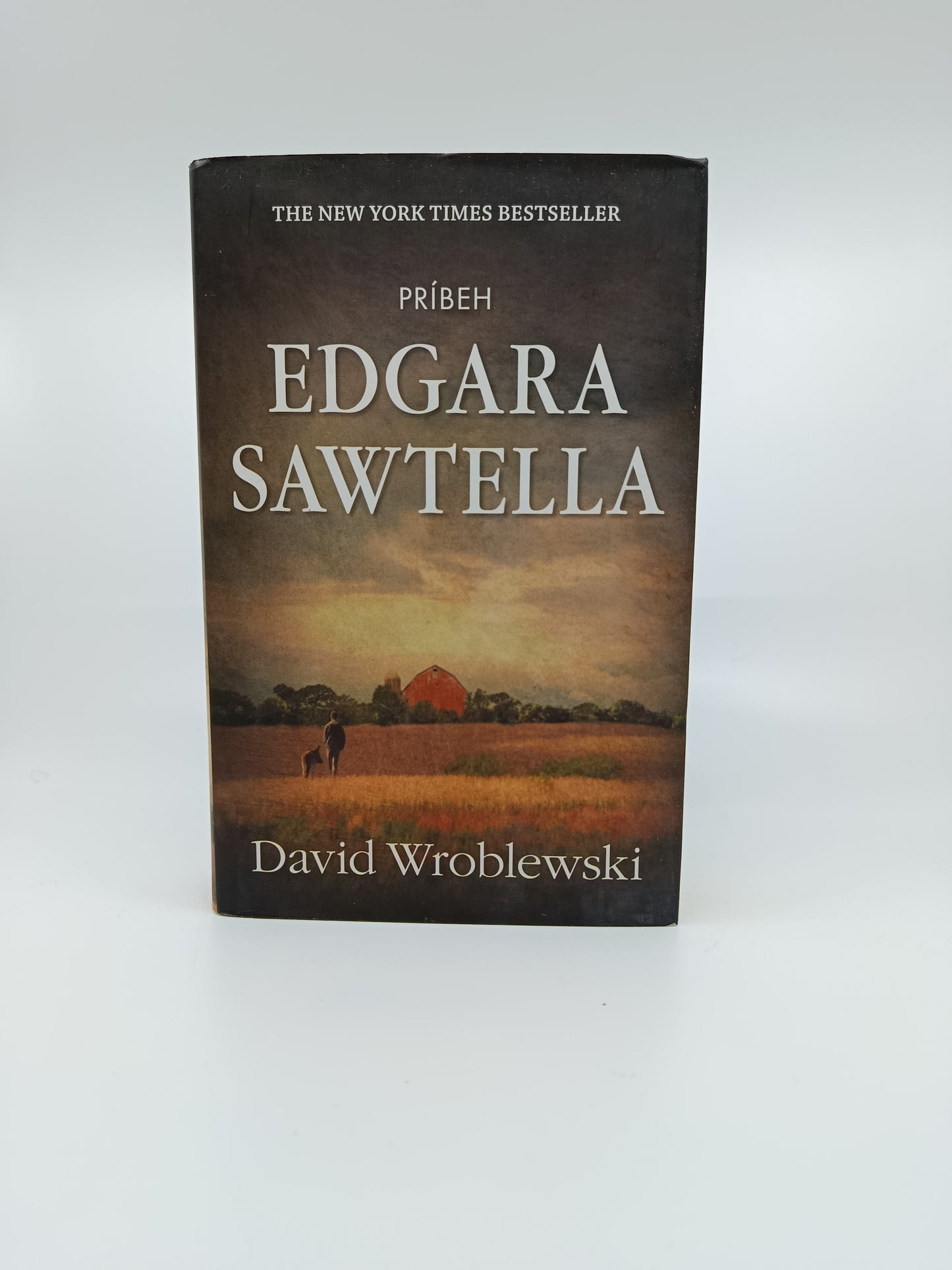 David Wroblewski – Príbeh Edgara Sawtella