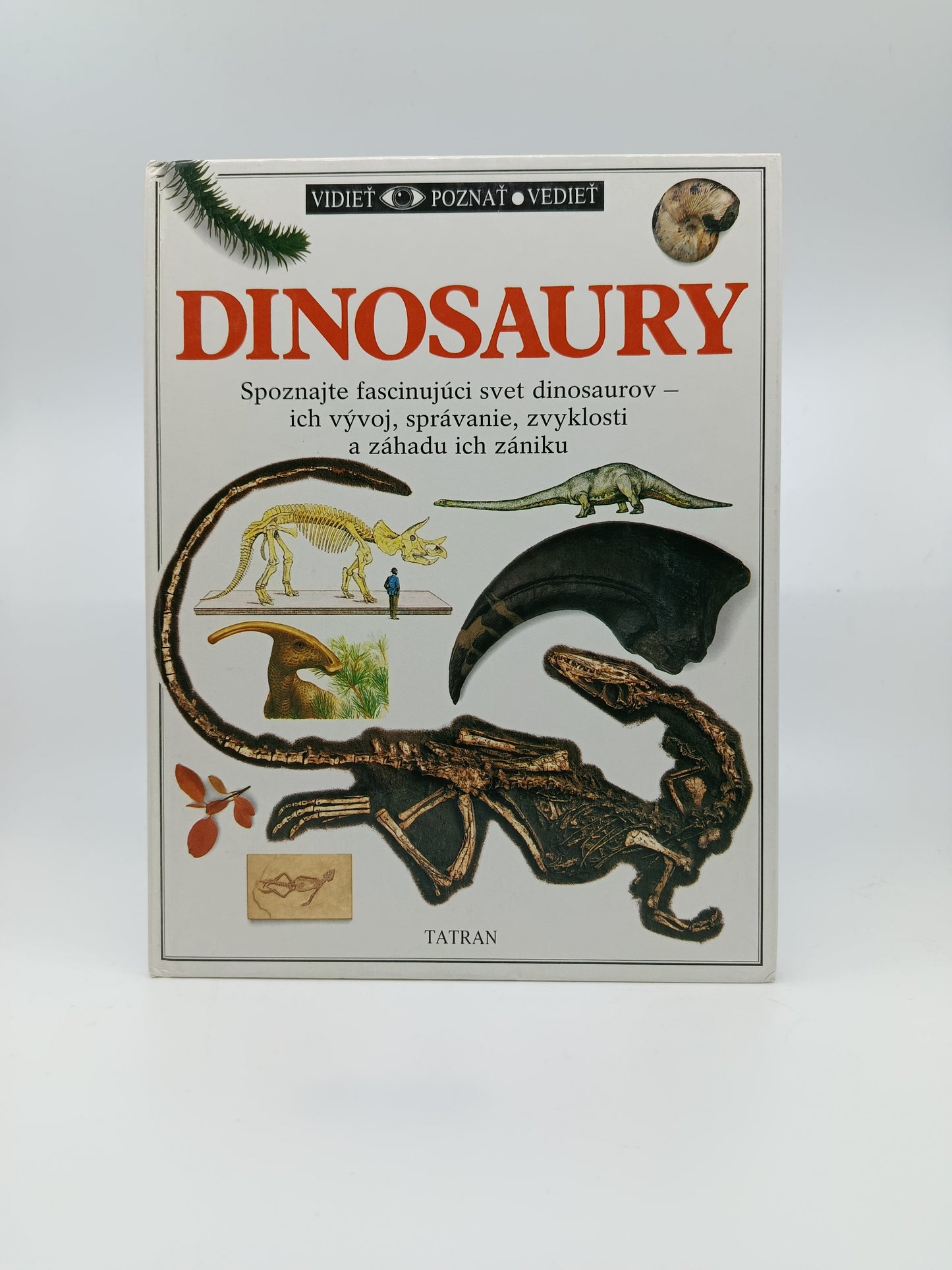 Dinosaury – neuvedený autor (edícia Vidieť · Poznať · Vedieť)
