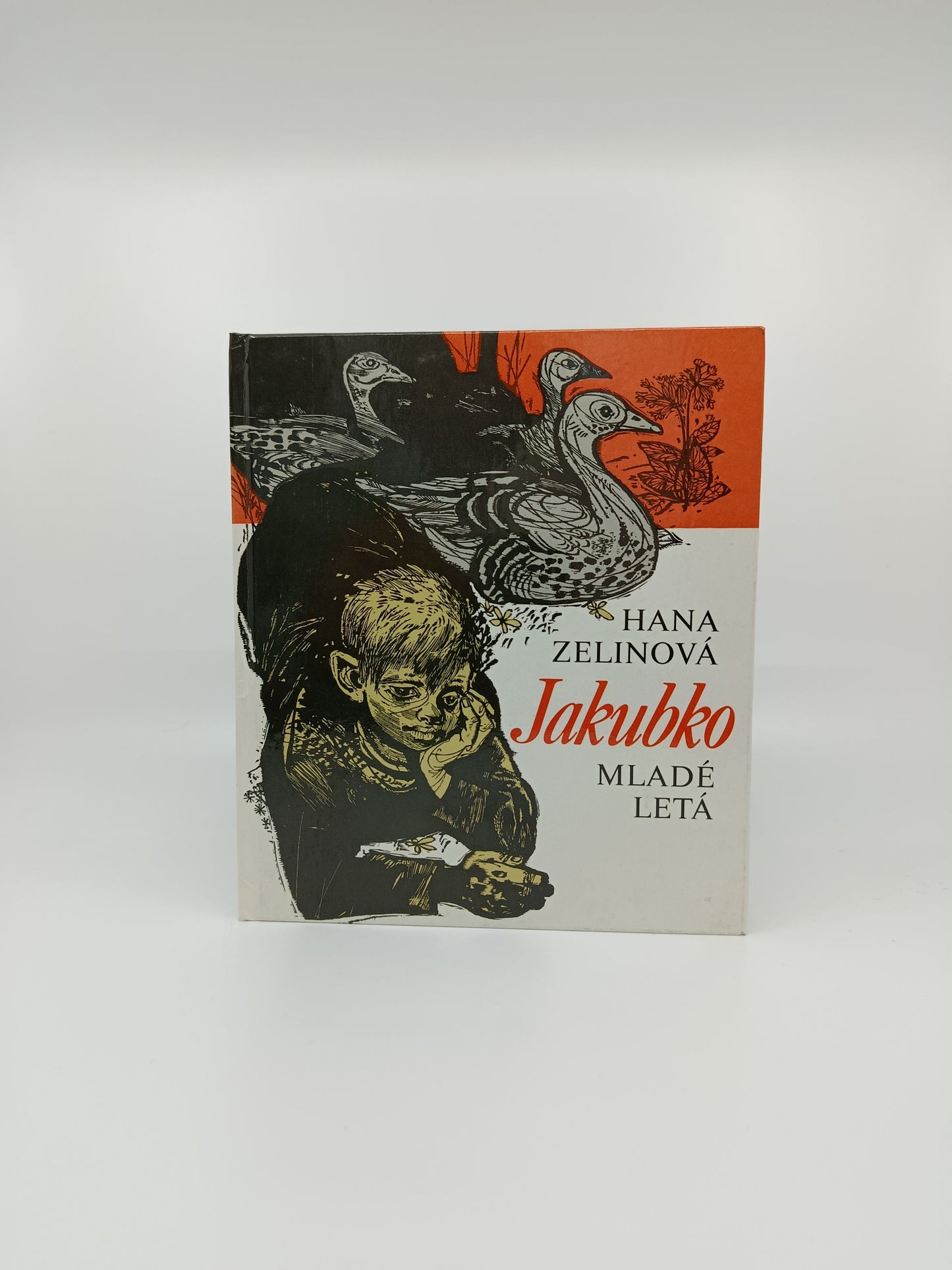 Hana Zelinová – Jakubko