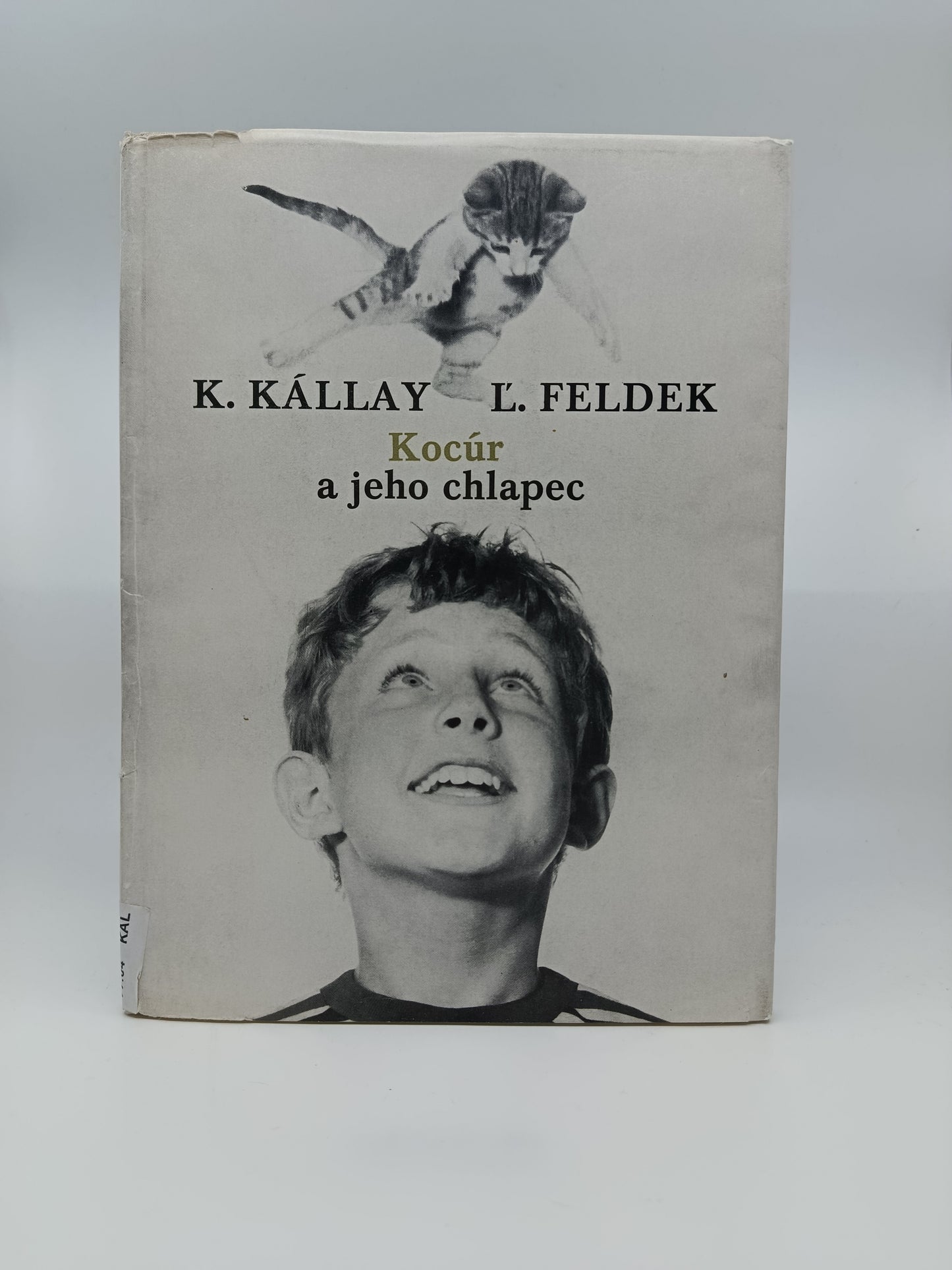 K. Kállay – L. Feldek: Kocúr a jeho chlapec