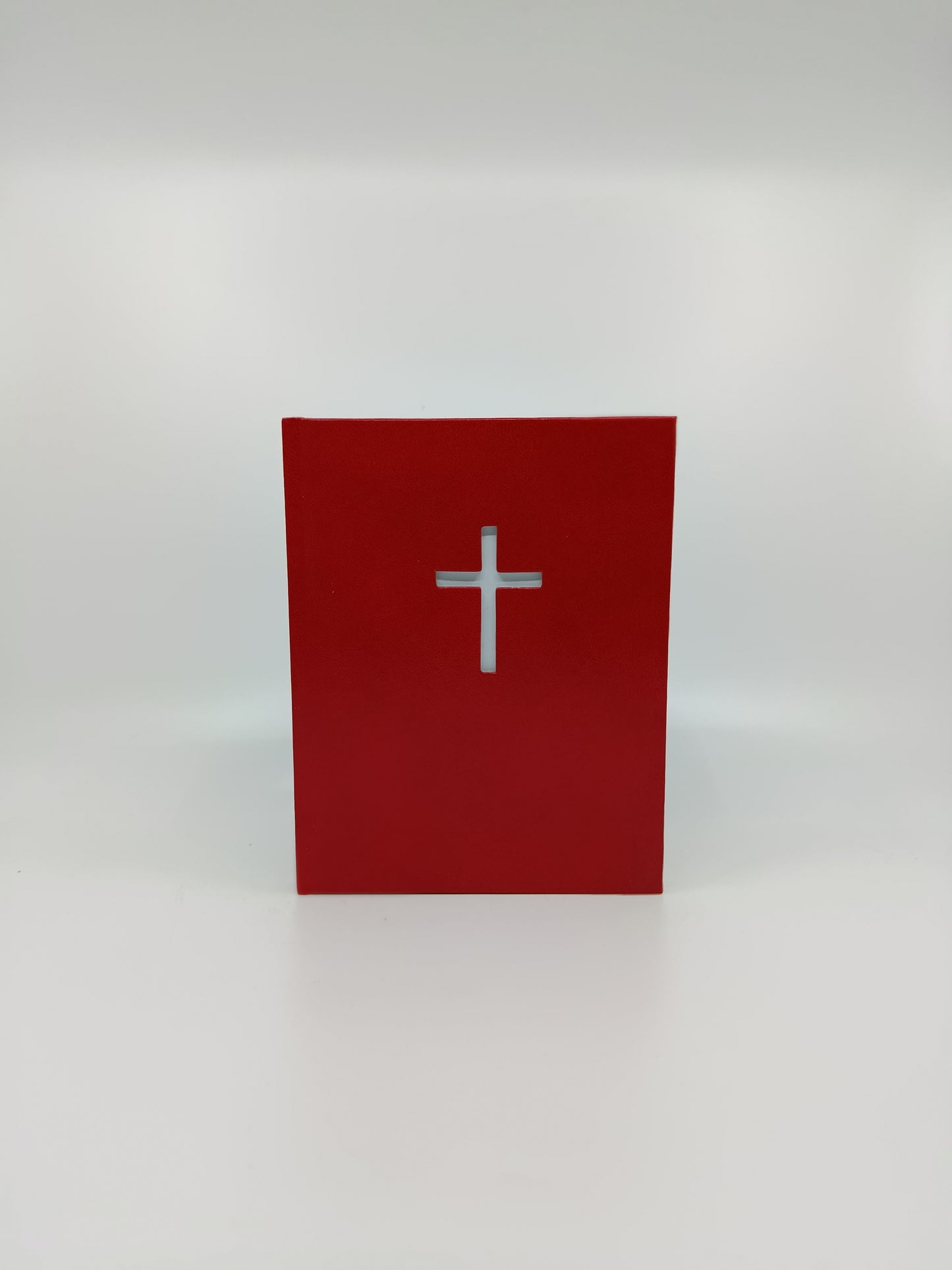 Peter Seewald – Kult: Otázky a odpovede