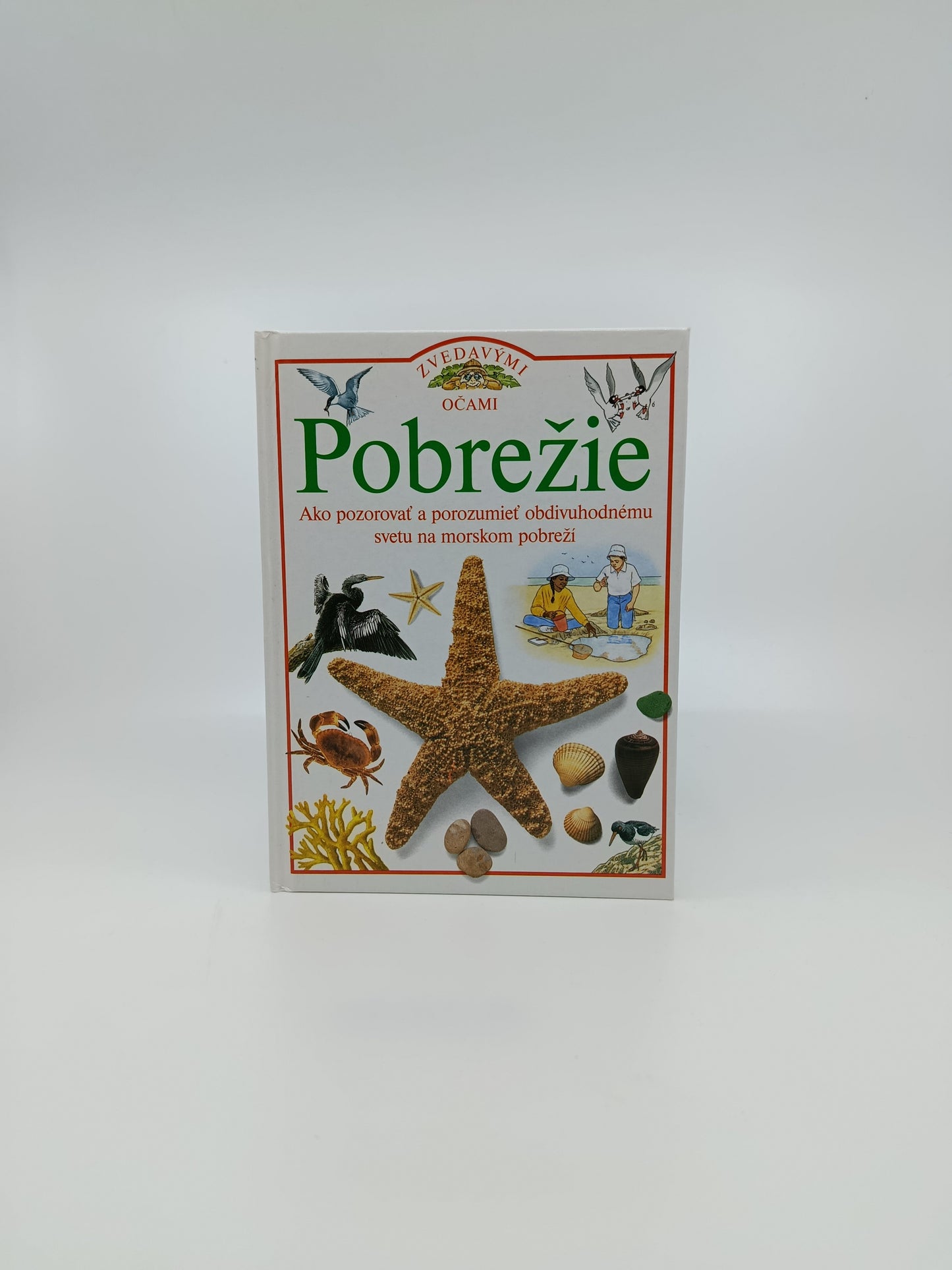 Pobrežie – Zvedavými očami