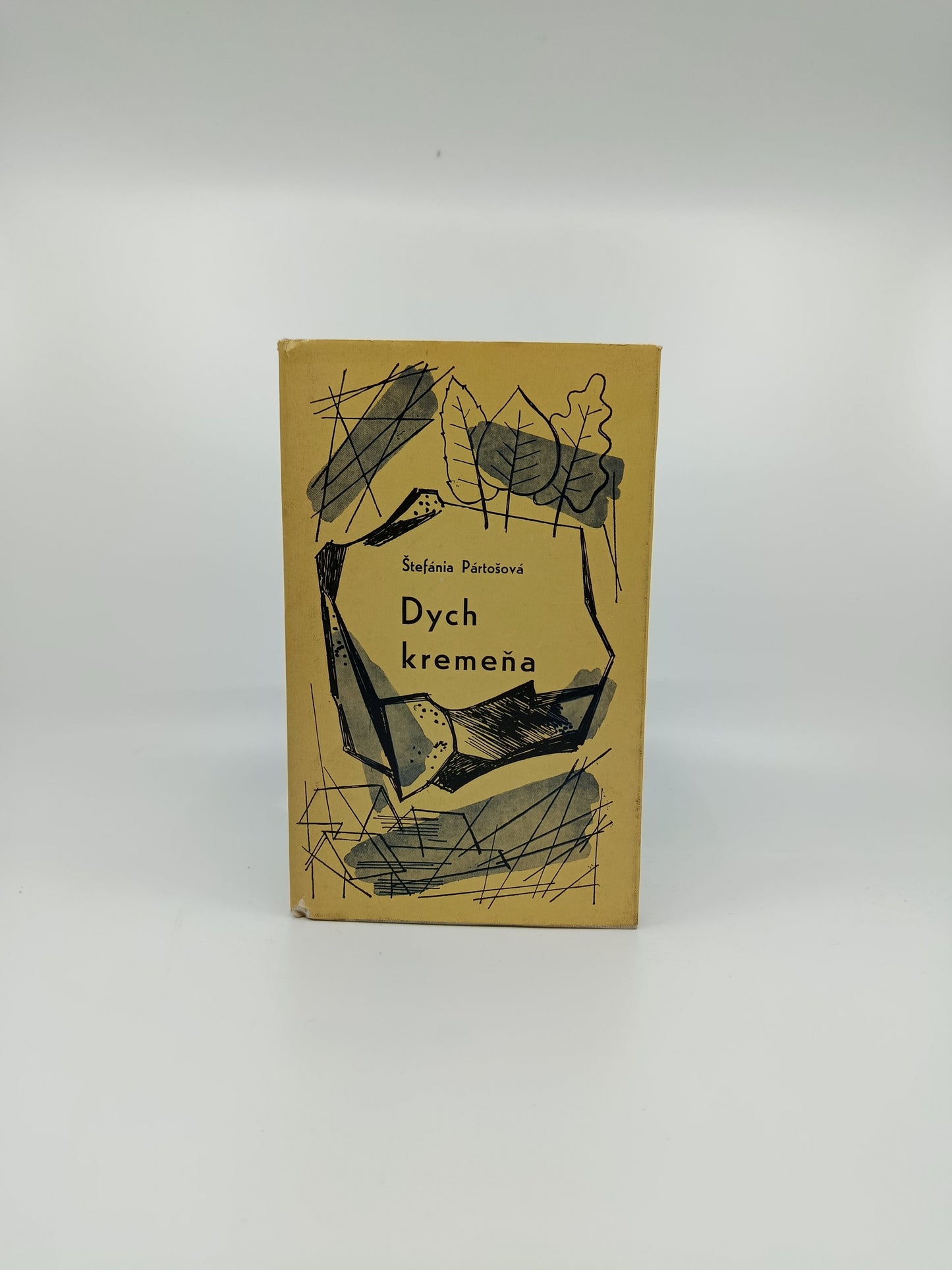 🔥 Štefánia Pártošová – Dych kremeňa 🔥