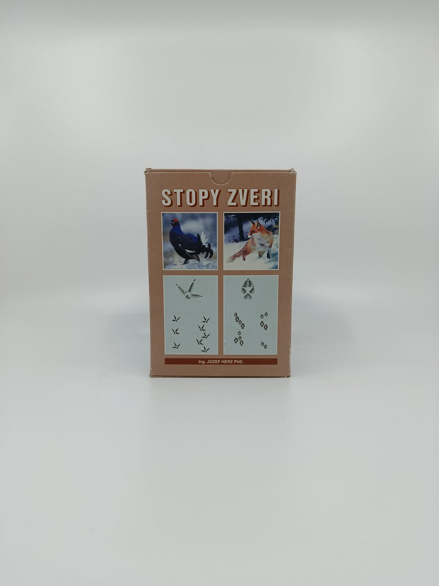 Stopy zveri – terénna Biblia všetkých Sherlockov prírody 🐾🔍