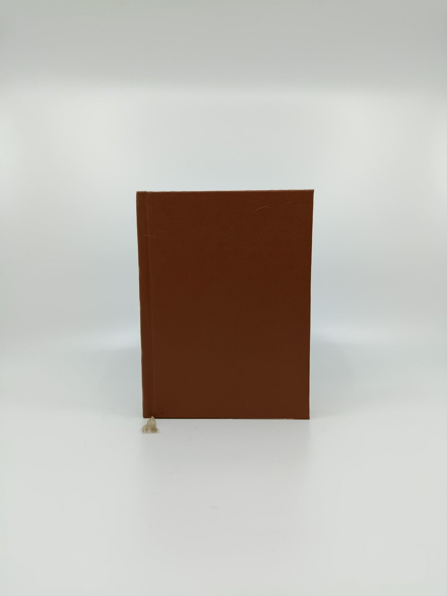 Václav Erben – Poklady stráží smrť