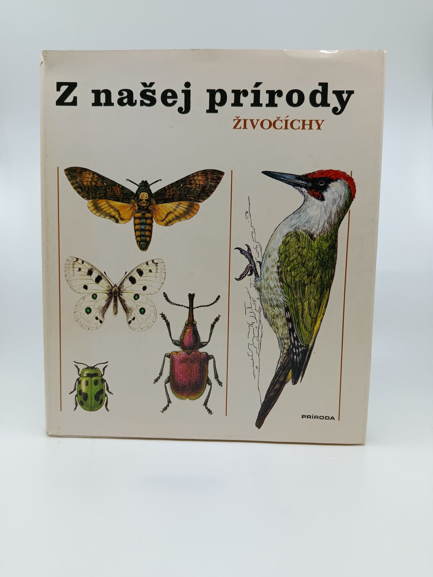 Z našej prírody – Živočíchy