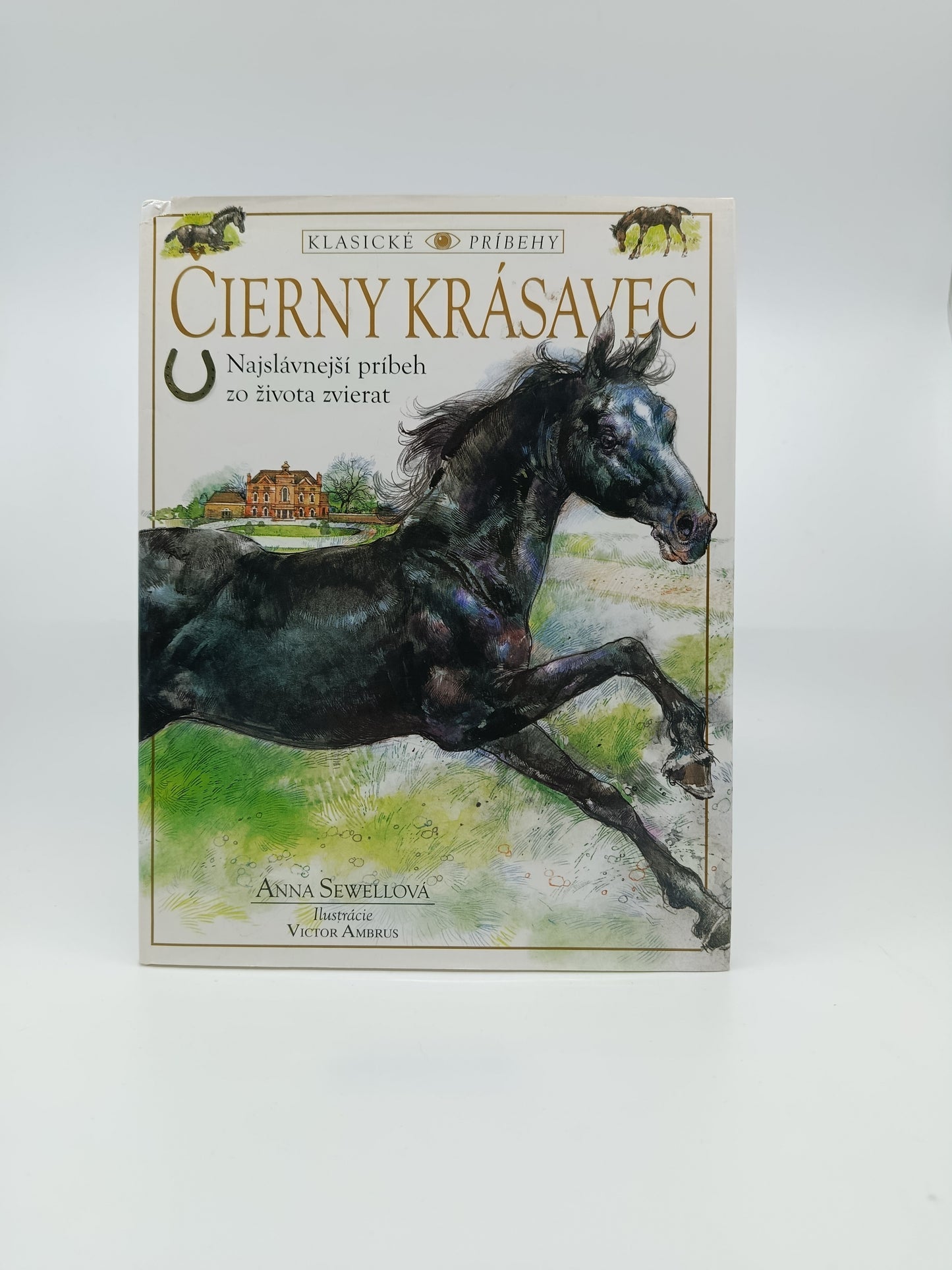 Anna Sewellová – Čierny krásavec