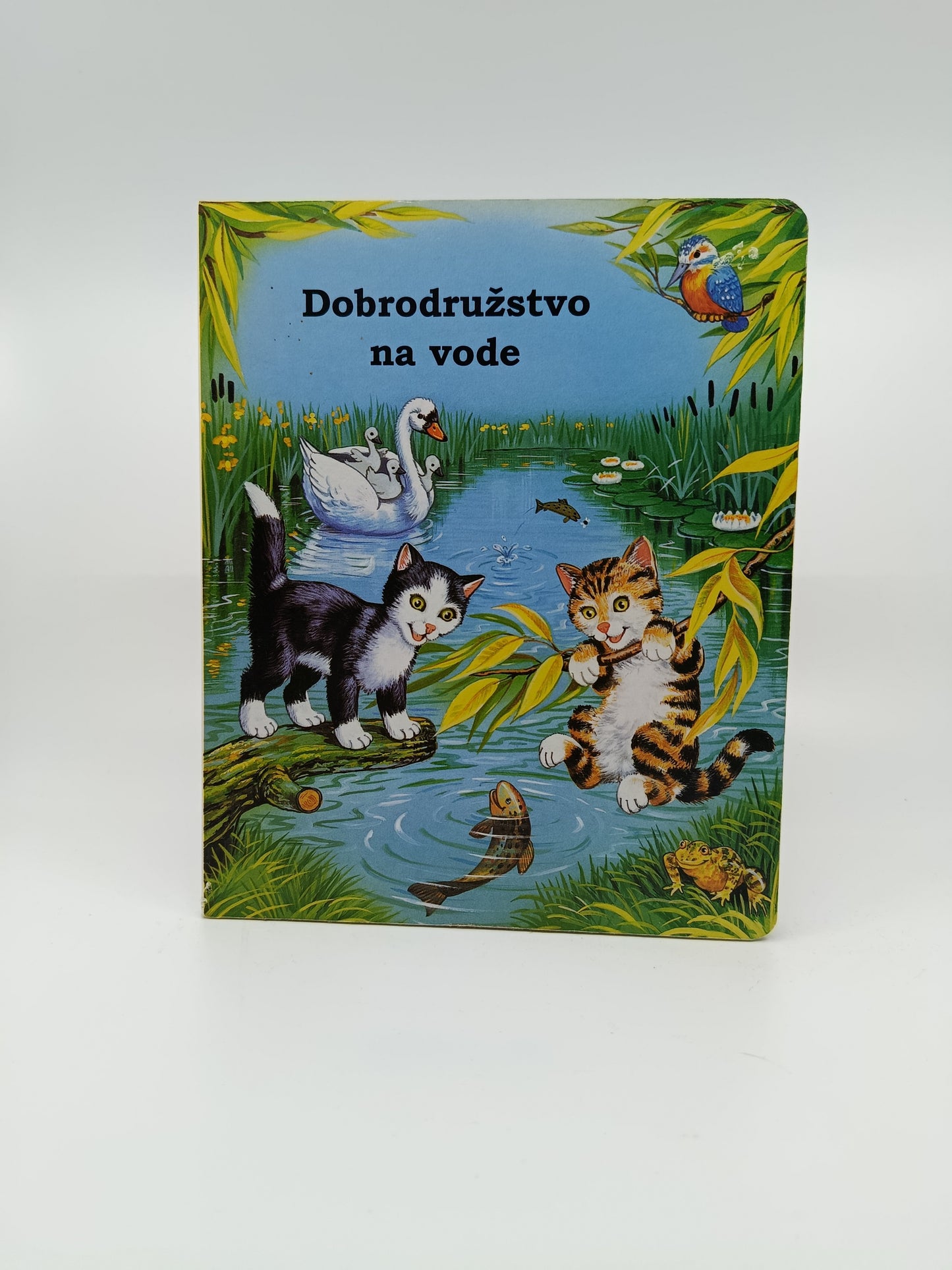 Dobrodružstvo na vode