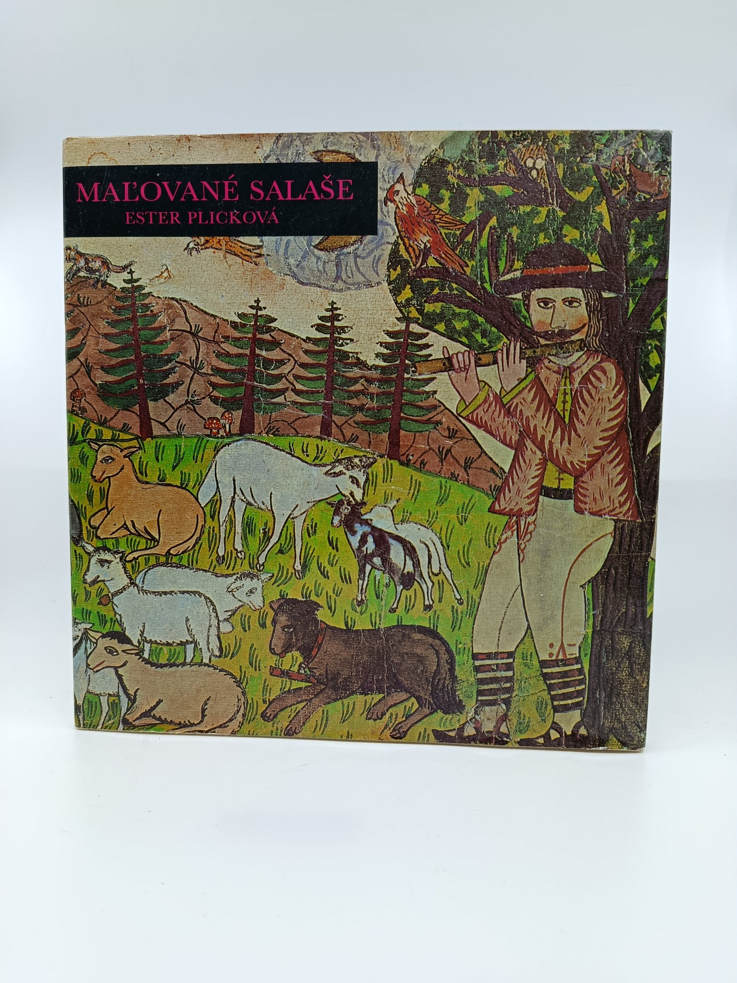 Ester Plicková – Maľované salaše