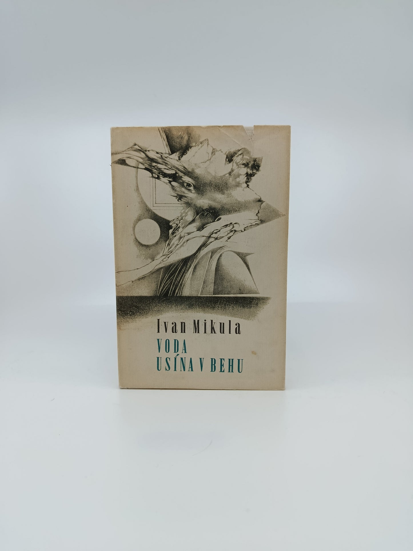 Ivan Mikula – Voda usína v behu