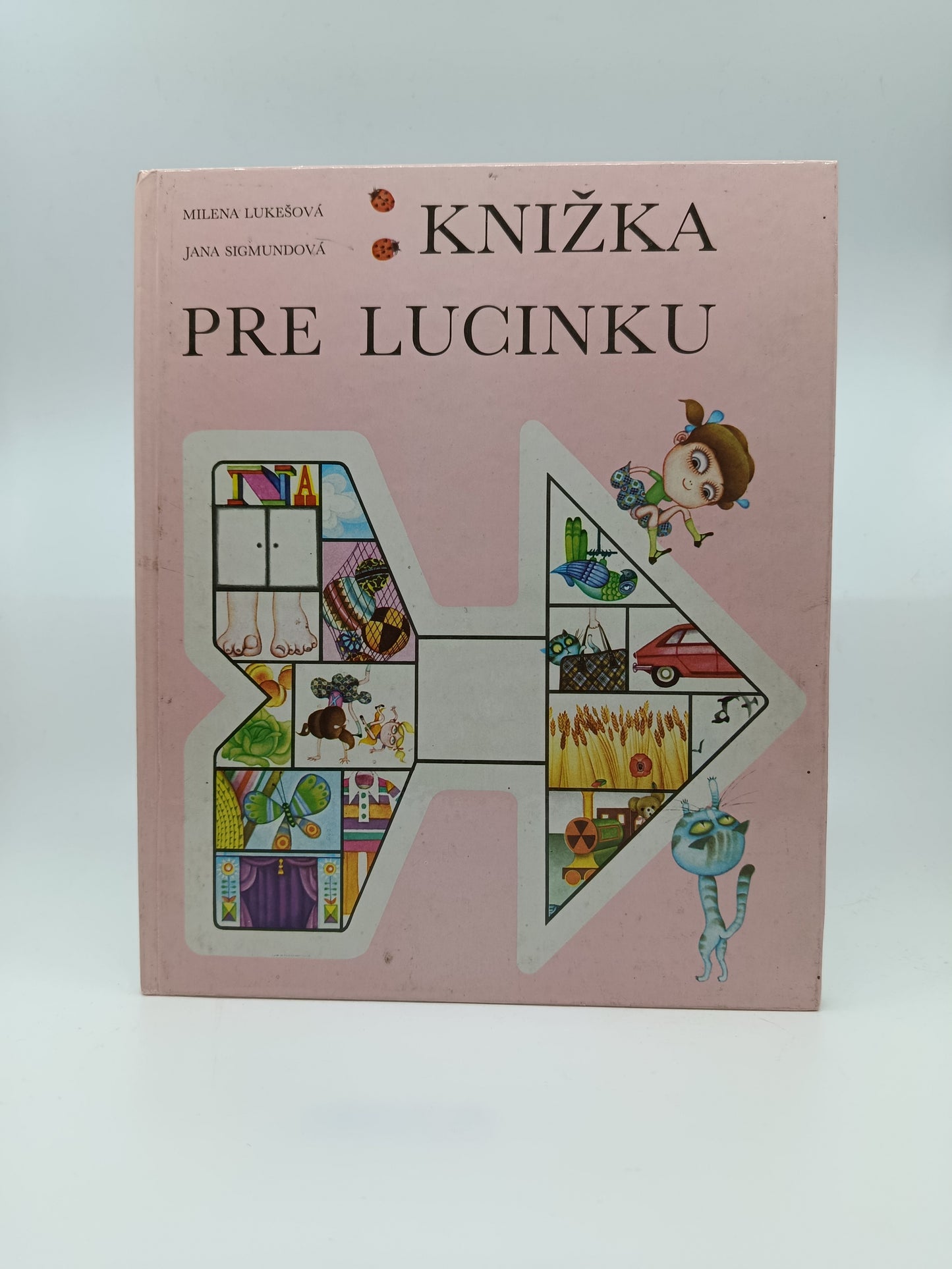 Knižka pre Lucinku – Milena Lukešová, Jana Sigmundová