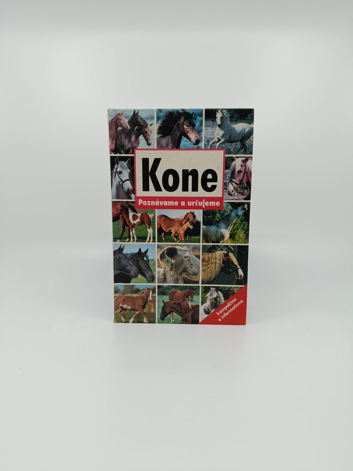 Kone – Poznávame a určujeme