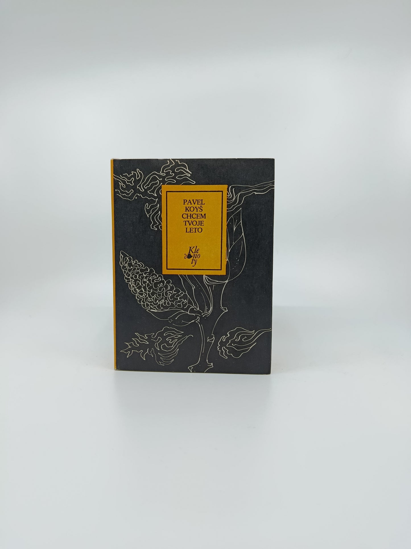 Pavel Koyš – Chcem tvoje leto