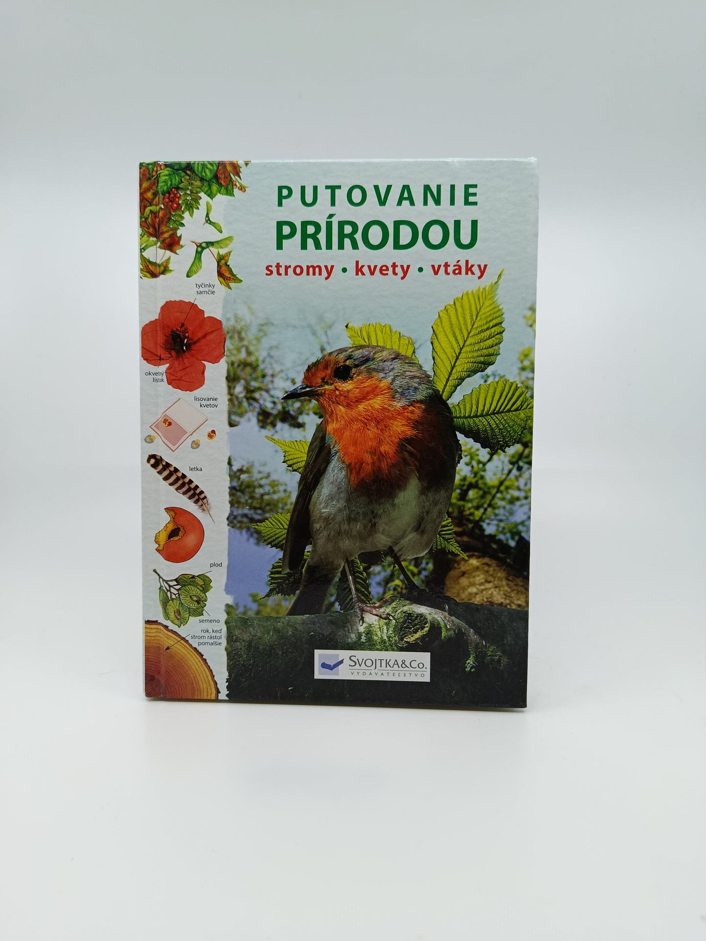 Putovanie prírodou – stromy, kvety, vtáky